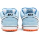 DUNK LOW PRO SB 'GULF'